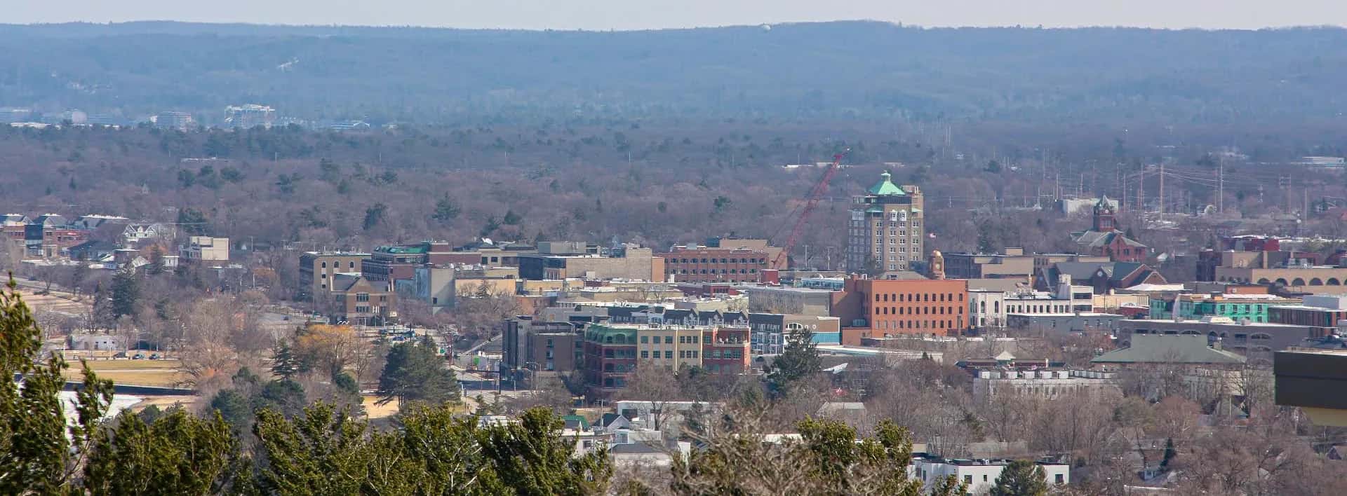 Downtown Traverse City, Michigan seen from Wayne Hill